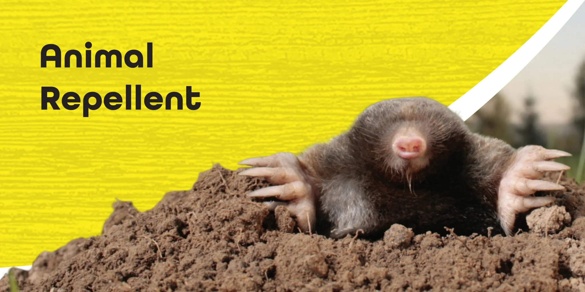 Animal Repellents