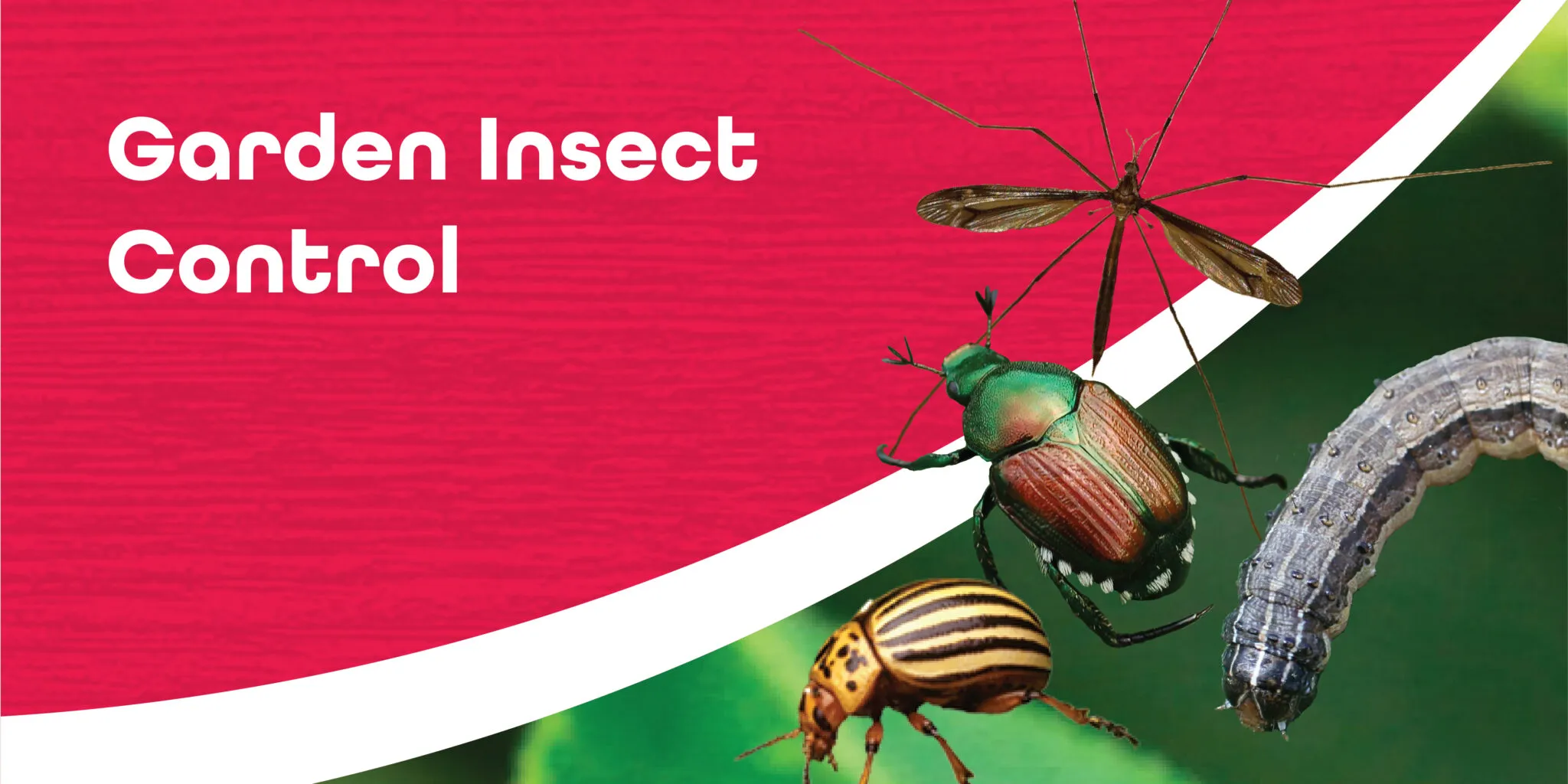 Insect Control