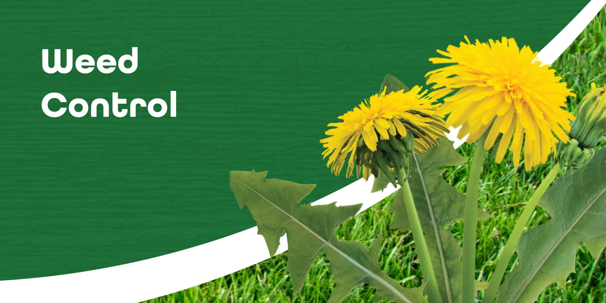 Weed Control