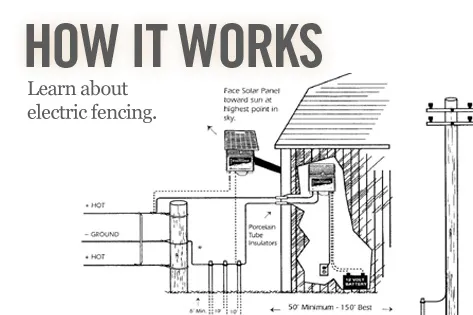 Electric fencing for Florida property protection