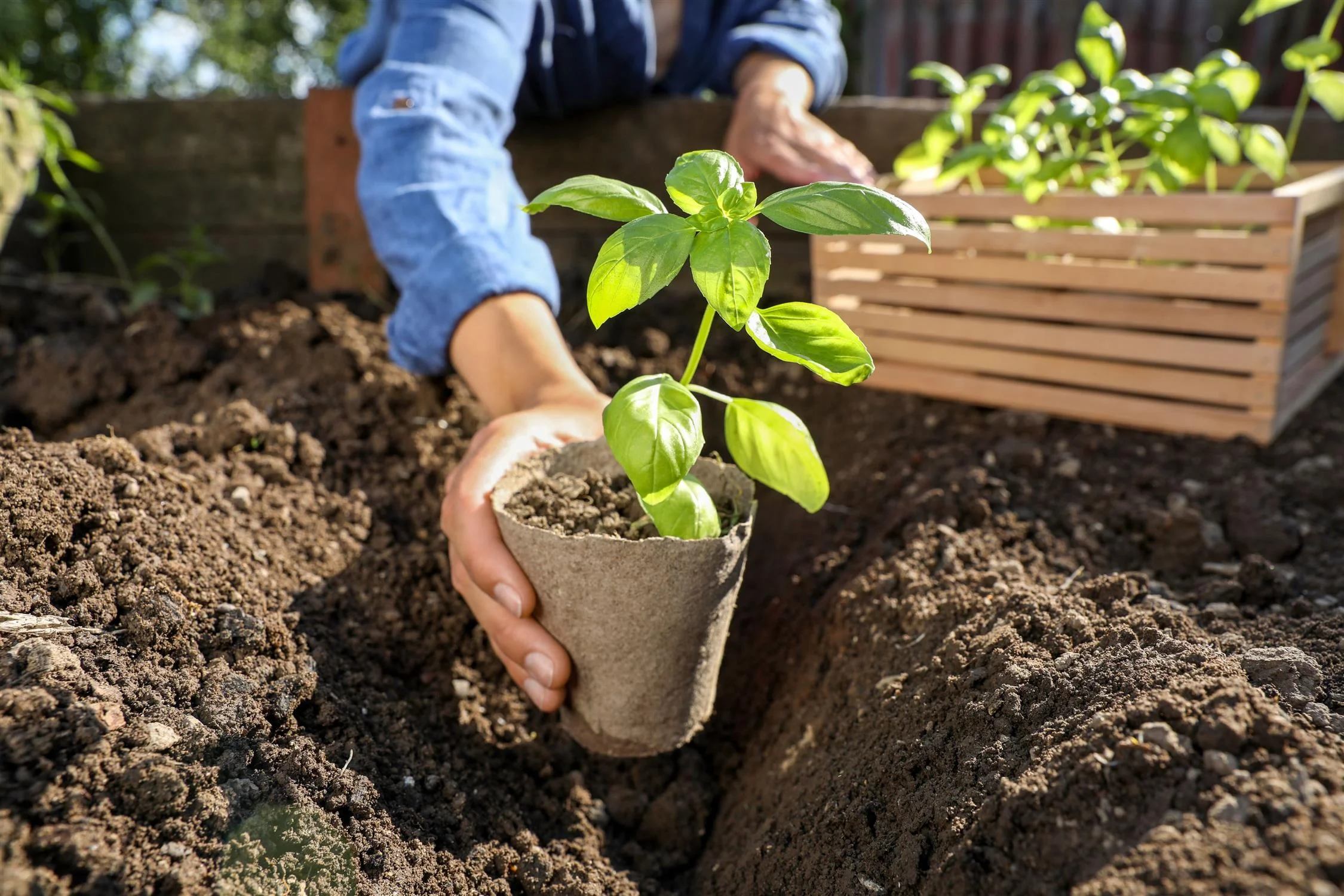 Florida lawn and garden care with Ferti-lome products