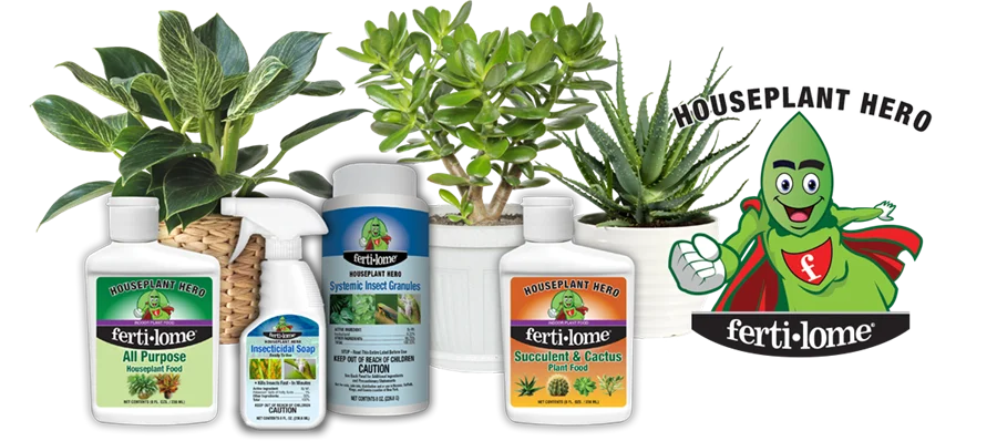 Systemic Insect Control
