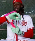 Official MLB Licensed Products
