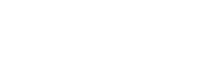Wooster Brush