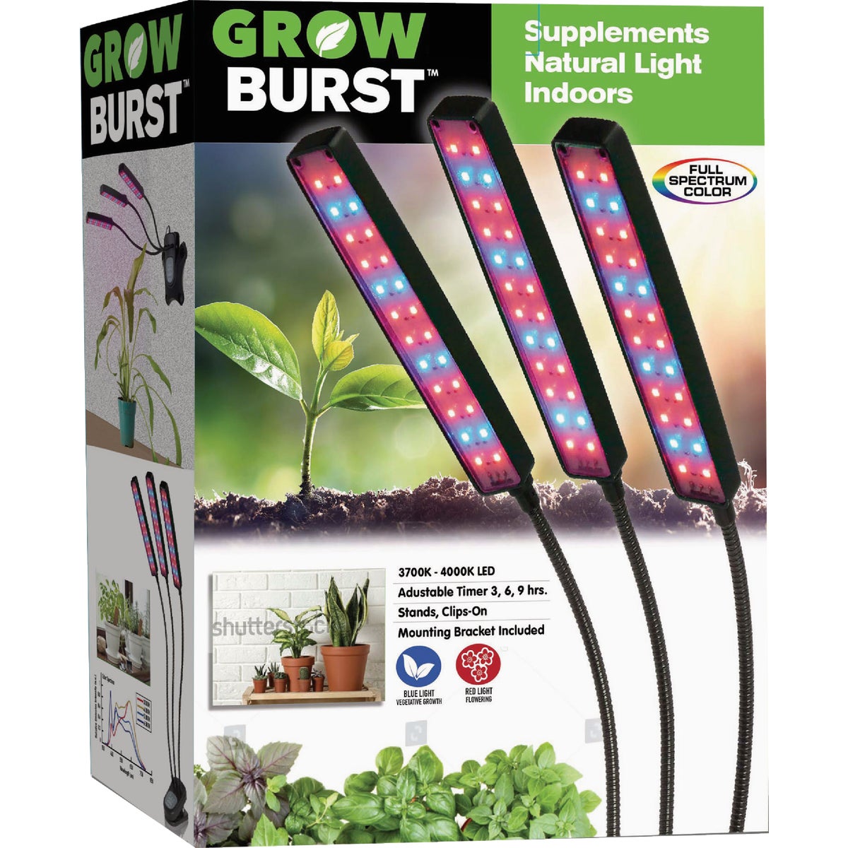 Indoor Gardening