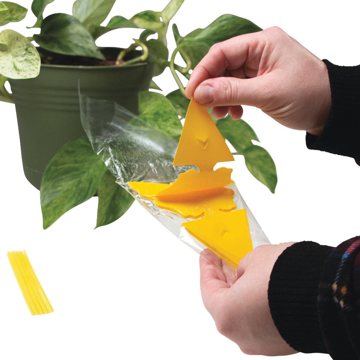 Intruder The Better Bugtrap for Plants - Thumbnail 5