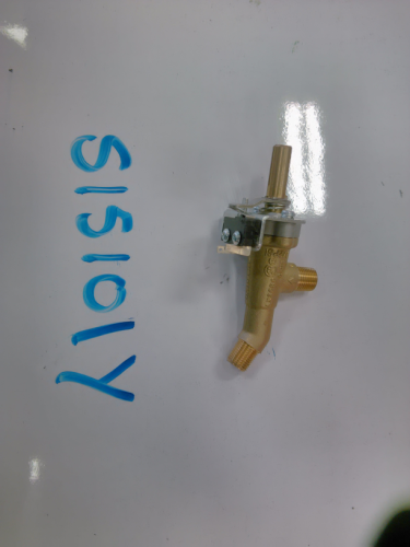 Gas Valve Assembly with microswitch (S15101Y)