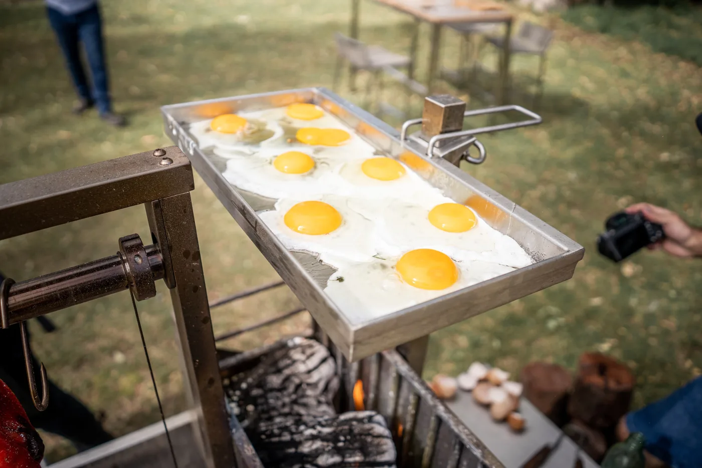 Tagwood BBQ54SS Height Adjustable Griddle